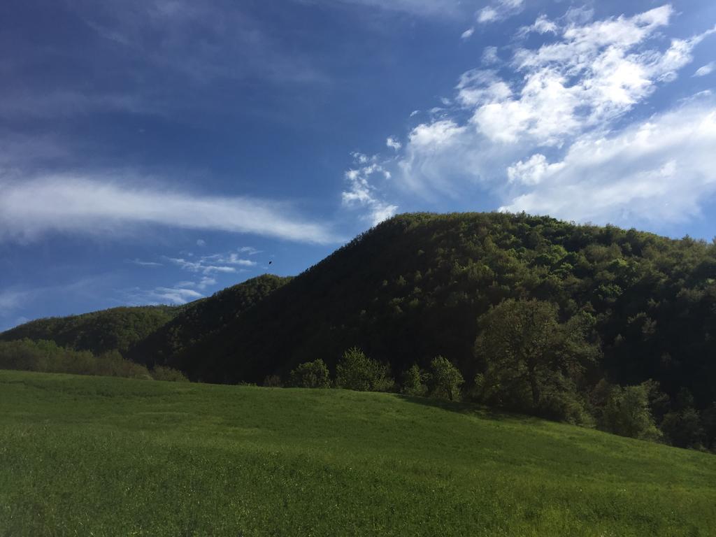 Agriturismo La Ferraia Pianello  ภายนอก รูปภาพ