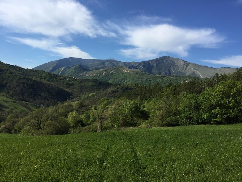 Agriturismo La Ferraia Pianello  ภายนอก รูปภาพ