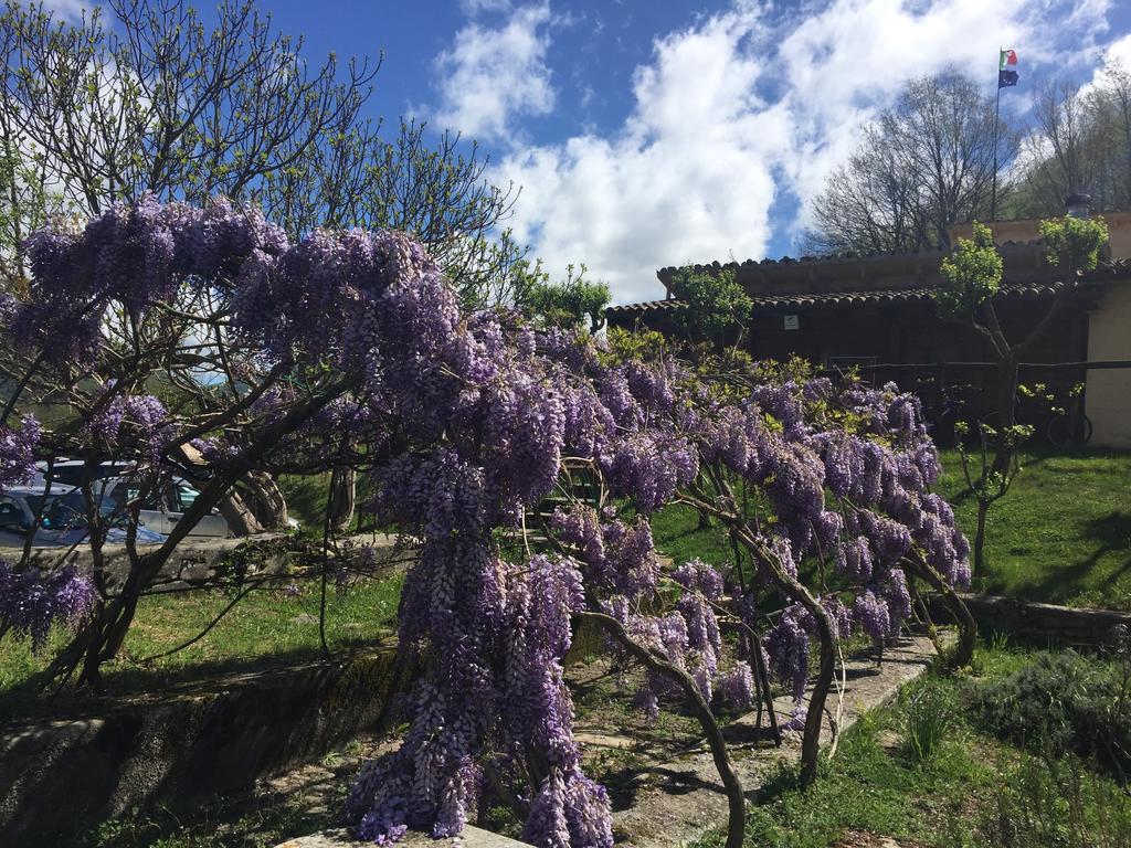 Agriturismo La Ferraia Pianello  ภายนอก รูปภาพ